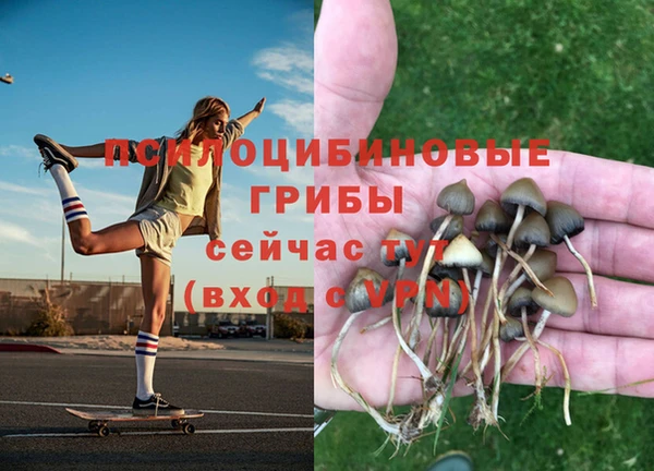 дмт Абаза