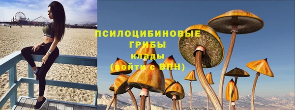 дмт Абаза