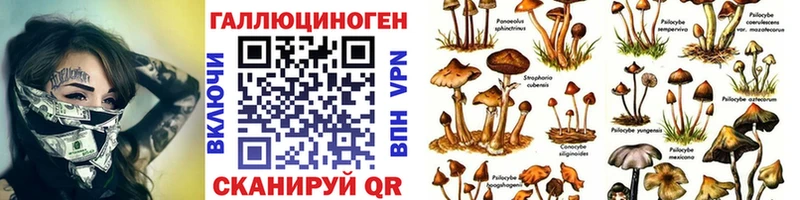 Псилоцибиновые грибы ЛСД  цены   Кумертау 